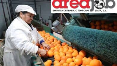 Areajob Spain dispone de 100 vacantes para campaña citrícola
