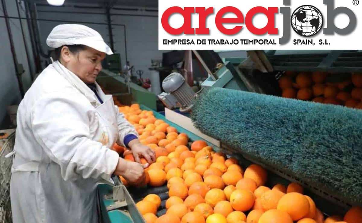 Areajob Spain dispone de 100 vacantes para campaña citrícola