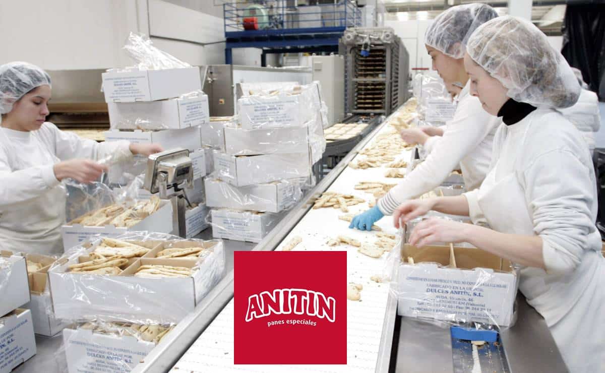 Anitin busca cubrir 20 puestos de trabajo en su fábrica de Valencia