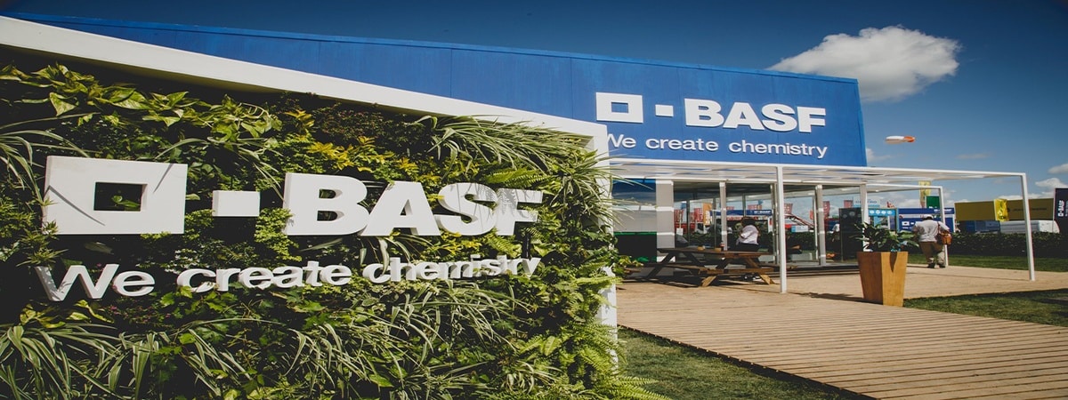 BASF Digital Solutions ofrece empleo a más de 300 especialistas digitales en Madrid
