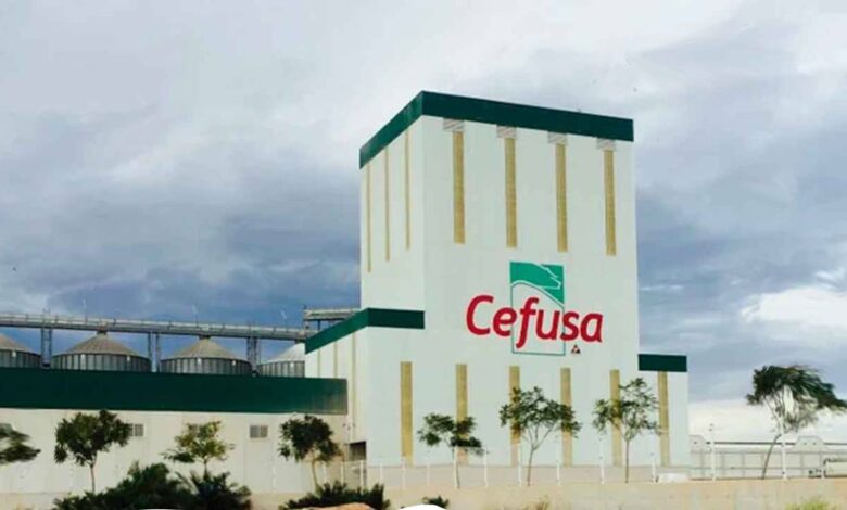 Oportunidad de empleo en el Grupo Fuertes: Cefusa solicita nuevo personal en noviembre