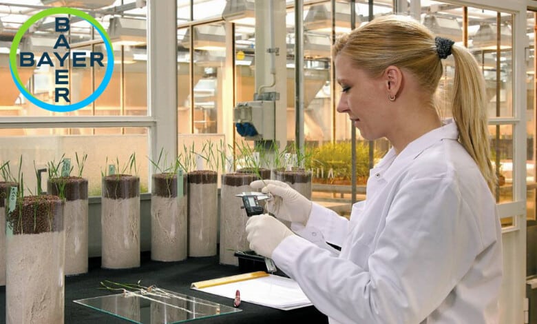 Empleo en el sector farmacéutico: Bayer amplía su plantilla de empleados