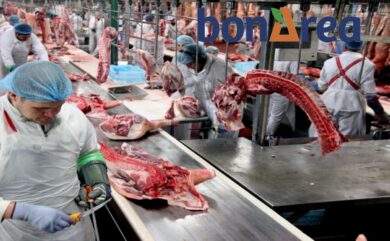 Más de 30 empleos disponibles en BonÁrea en el nuevo centro logístico en Épila