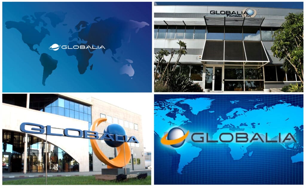 Empleo Globalia Sede Logo
