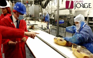 Grupo Jorge dispone de 22 oportunidades de empleo