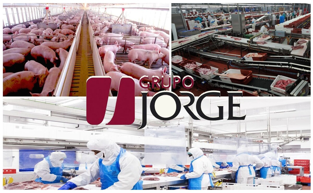 Grupo Jorge necesita 25 personas para trabajar en macro-granjas y fábricas