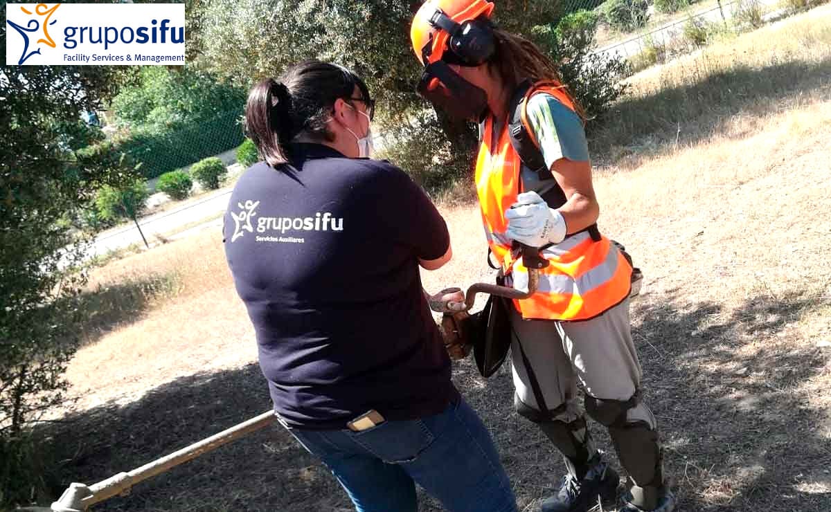 Grupo Sifu publica 46 oportunidades de trabajo en Madrid y otras localidades