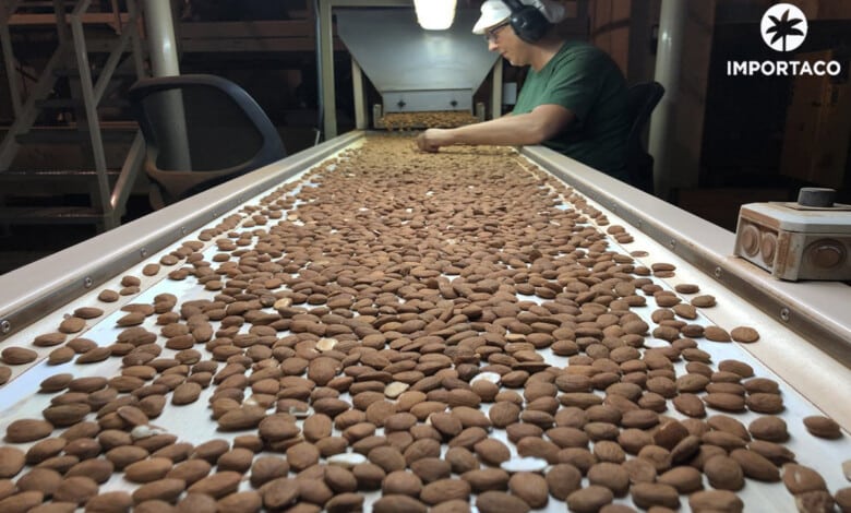 ¡Atractivos sueldos!: Fábrica Importaco ofrece 37 oportunidades de empleo