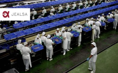 Industria de conservas Jealsa busca 20 nuevos empleados