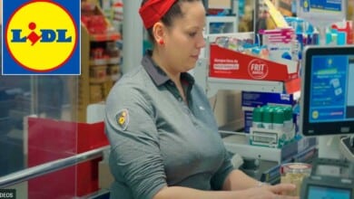 Lidl ofrece 75 cargos vacantes para trabajar en sus tiendas