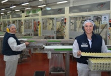 Empleo Nestle Personal 3