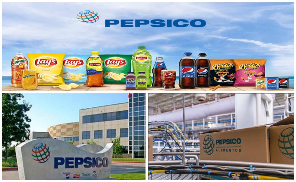 Empleo Pepsico Planta Logo3