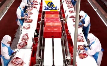 Se necesitan operarios de producción y otros profesionales en Sevilla