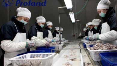 Profand amplía su plantilla: Ofertas de trabajo en producción y comercialización de productos del mar