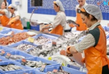 29  nuevos empleos están vacantes en Supermercados Lupa