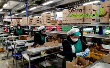 Terra Fecundis contratará 50 envasadores para una planta en Murcia