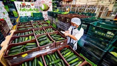 Oportunidades de trabajo en Terra Fecundis este mes de mayo