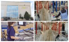 Empleo ThinkTextil Sede Personal