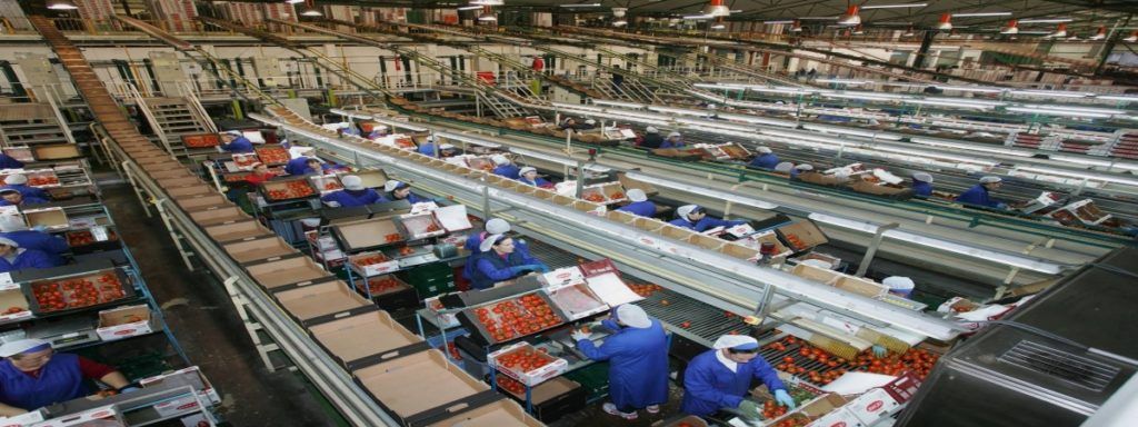Nueva sede Cooperativa Vicasol abre oferta para 900 empleos Empleo Vicasol almacenistas 1024x384 - Nueva sede Cooperativa Vicasol abre oferta para 900 empleos