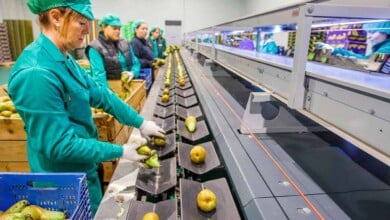Ofertas de empleo del 22 de mayo de 2023