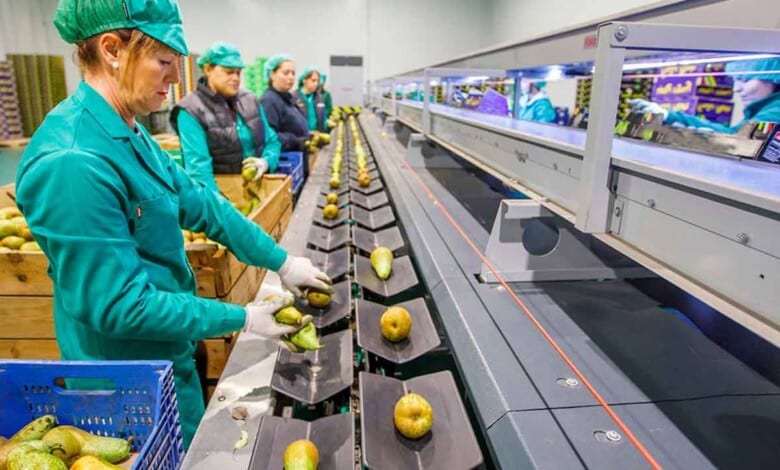 Ofertas de empleo del 22 de mayo de 2023