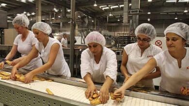La empresa Anitin Panes solicita personal para su planta en Carlet
