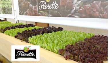 Florette busca incrementar su plantilla con la contratación de 19 operarios