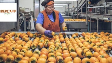 Cooperativa Ribercamp ofrece 90 oportunidades de trabajo