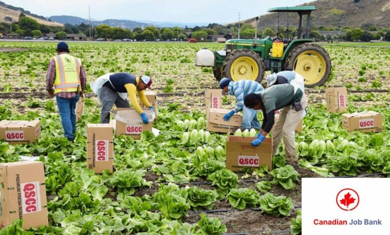 Job Bank publica 110 ofertas para trabajar en Canadá