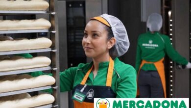 Mercadona Busca Repartidores en Valencia