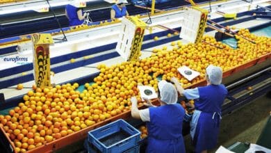 Eurofirms empleos almacenes citricos nov23
