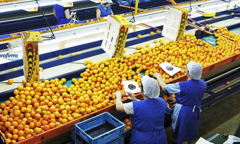 Eurofims publica nuevos empleos para la campaña de fruta en Valencia