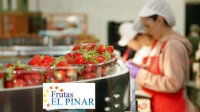 Frutas Pinar empleos dic23