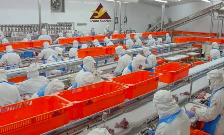 Sector agroalimentario: Grupo Fuertes dispone de 30 empleos