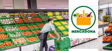 Mercadona selecciona distintos perfiles en sus más de 280 ofertas de empleo 9 Mercadona Empleo 2020
