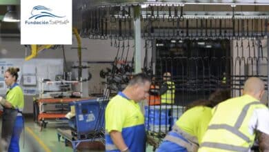 No se pide experiencia: Grupo Sesé busca mozos de almacén