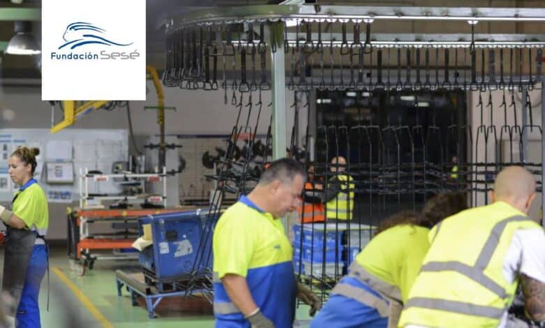 No se pide experiencia: Grupo Sesé busca mozos de almacén
