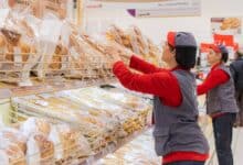 Supermercados Alcampo incorporará 390 personas, envía ya el currículum