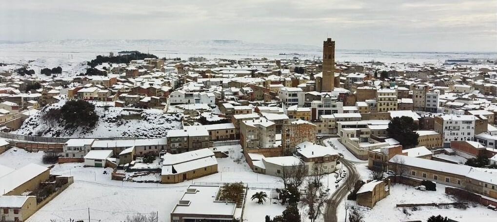 Tauste nevado