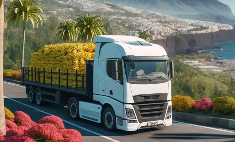 Oferta de Empleo en Tenerife: Conductores de Camión para Transporte de Plátanos