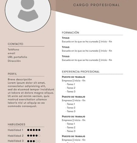 curriculum-vitae psd marron
