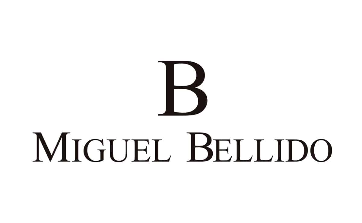 Enviar curriculum Miguel Bellido